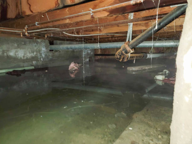 Best Water damage restoration process  in Pueblo, CO