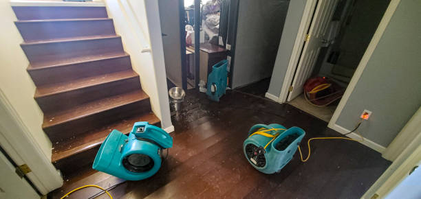 Best Flooded house restoration  in Pueblo, CO