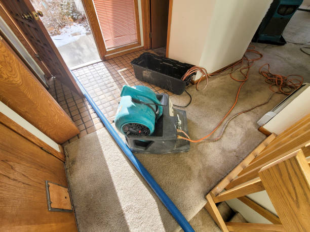 Best Water damage contractors near me  in Pueblo, CO