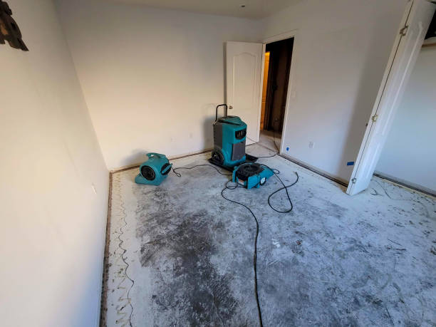 Best Residential water damage restoration  in Pueblo, CO