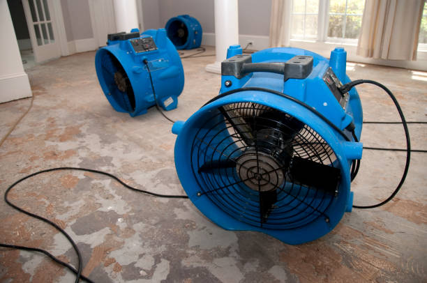 Best Basement water damage restoration  in Pueblo, CO