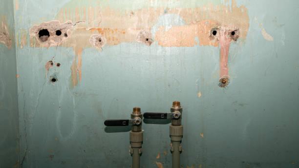 Best Fire Damage Restoration  in Pueblo, CO