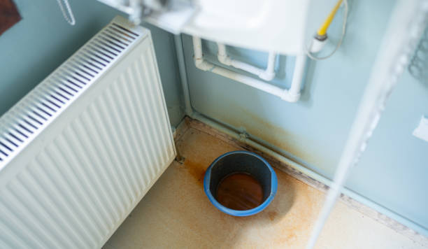  Pueblo, CO Water damage restoration Pros