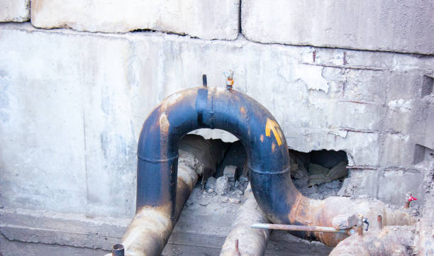 Best Professional water damage repair  in Pueblo, CO