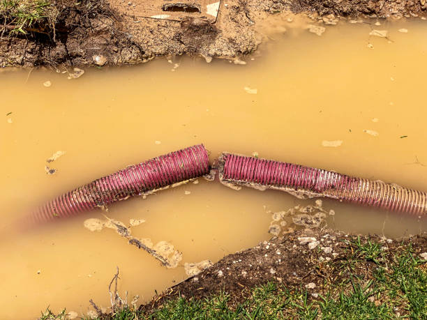 Best Emergency water damage restoration  in Pueblo, CO